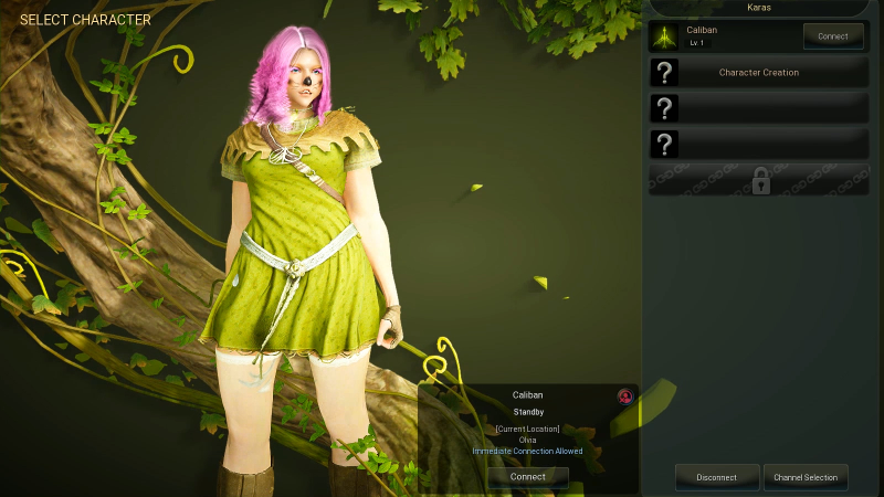 Illustration for article titled Creating A Character In Black Desert Online Is An Epic Undertaking